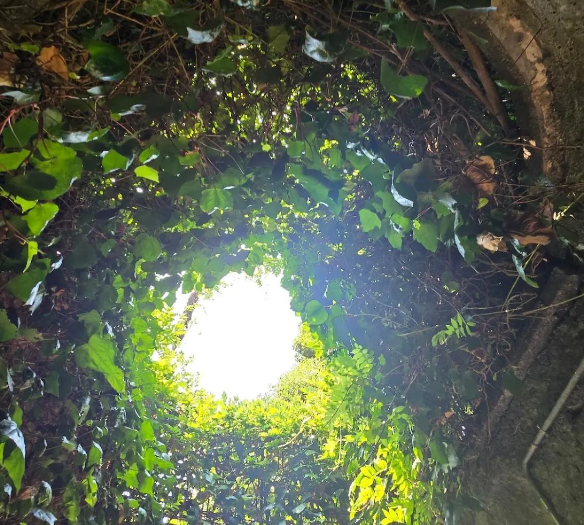 Le Allegre Comari Di Nesso, Casa E Benessere 0*, Nesso Italien